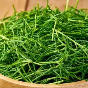 전남 무안 세발나물 갯나물 1kg 2kg 3kg