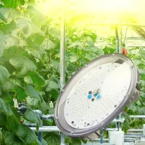 퓨쳐그린 식물등 원형투광 식물생상 조명 100W 200W 하이파워