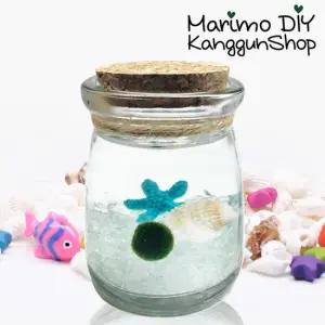상세정보참조 마리모 포함 키우기 별푸딩 세트/미니 푸딩병 어항