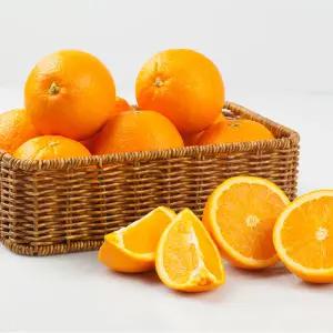 [롯데백화점]푸드진정성 미국산 네이블오렌지 대과 20과/개당235g내외 (퓨어스펙/썬키스트)