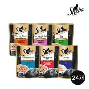 아트박스/쉬바 고양이파우치 버라이어티팩 70G 24개/여섯가지맛