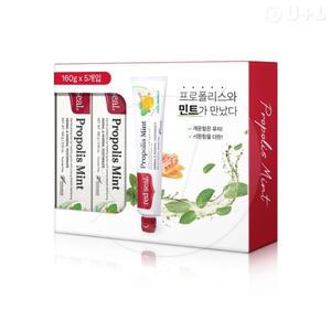 레드씰 프로폴리스 민트치약 160g x 5개 코스트코