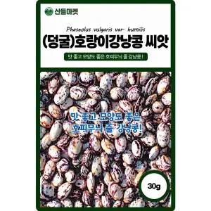 산들마켓 호랑이 강낭콩씨앗 30g 덩굴성으로 초세가 강한 호피무늬 국내산 콩씨 종자