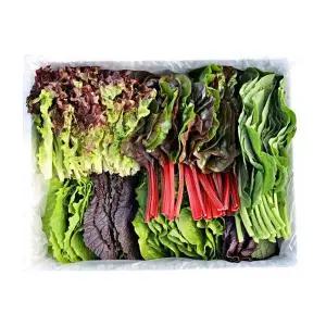 당일수확 GAP인증 친환경 유기농 모듬 쌈야채 쌈채소 1kg(5-6종 랜덤)