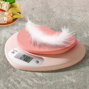 하트저울 0.1g 정밀저울 1g 체중계 도마뱀저울 크레스티드게코 파충류 전자저울