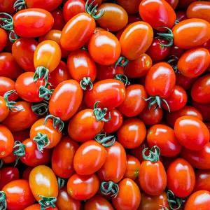 산지 직송 국내 GAP 인증 대추 방울토마토 2kg