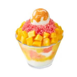 [설빙] 자.망.코.설빙