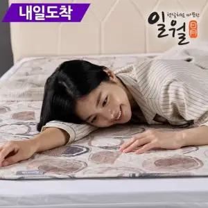 [내일도착] 26년형 시그니처 초절전형 워셔블 카본 탄소매트 전기매트 싱글