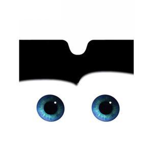 차박 선쉐이드 선루프 커튼 썬쉐이드 자동차 호환 모델3호환