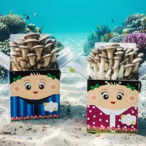 [매직북스] 친구사랑 느타리버섯 식물키우기(교육용 버섯키트)