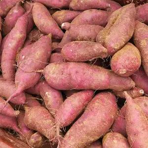 늘푸른 국내산 호박고구마 3kg 한입