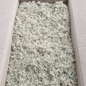 [품질보장] 바다찬미 국내산 햇 잔지리멸치(최상급) 1.5kg 원물박스