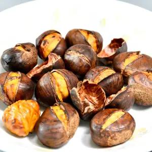 약단밤 6kg 군밤 간식용 칼집 손질완료 간편조리 / 산지직 송연구소