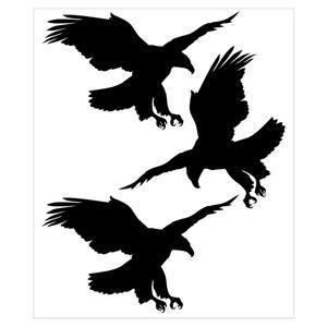 독수리 시트커팅 시트 방음벽 조류 충돌 방지 C타입