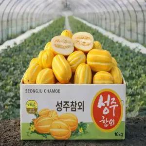 당일수확 고당도 성주 하우스 꿀 참외 못난이 가정용 5kg