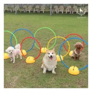 딩동펫 강아지 어질리티 원형 허들링 L 220843