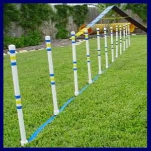 지상 야외 12인용 위브폴 개 민첩성 스틱