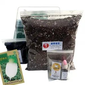 씨앗 책상 키트 쉽게 누구나 실험 (20립) 위의 텃밭 키우기 무 과학