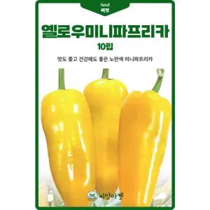 다농 옐로우미니 파프리카 씨앗 10립 파프리카씨 종자