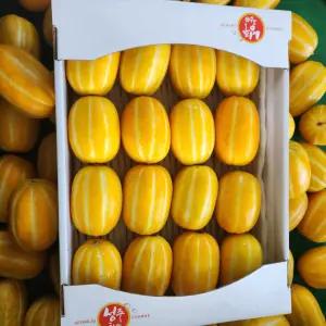 성주동암댁 농장 이온수 꿀벌참외 5kg(11-20과)