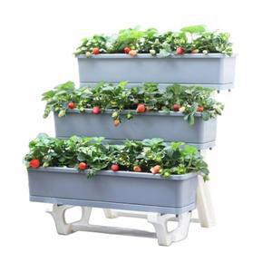 계단식 딸기 화분 3층 3단 인공 가꾸기 수경재배기 수직 딸기수경재배 야채 선반