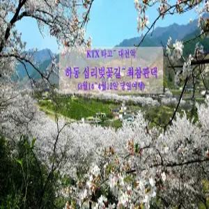 [KTX] 하동 쌍계사 십리벚꽃~최참판댁 기차여행 (당일 3/14-4/12 대전역)