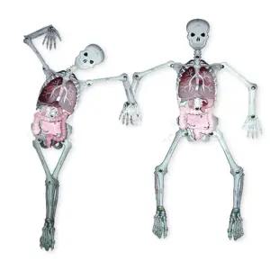 초등 우리몸속 구조 관찰 종이 인체 모형 만들기 5인용 놀이체험 학습활동 수업 키트