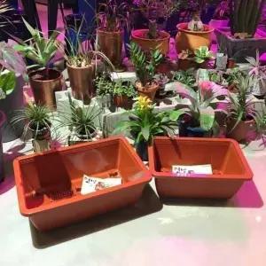 베란다 텃밭용 플라스틱 화분 직사각(바퀴이동형)2호(59x39cm)/플라스틱화분 텃밭화분 대형플라스틱화분 인