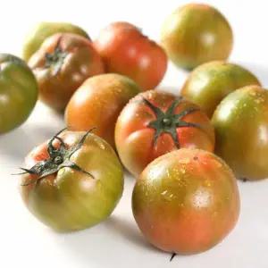 부산토마토 완숙 대저 토마토 2.5kg