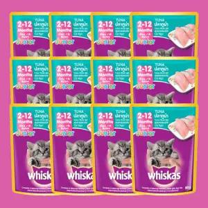 위스카스 파우치 고양이 습식사료 1세이하 주니어 참치 80g 12개