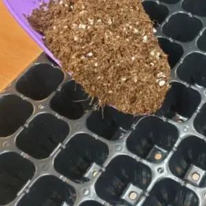 1개 72구 모종 키우기 발아 트레이 모종판 파종판 육 모종판 모종트레이