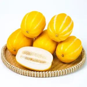 프레시 제철 성주 참외 정품 대과 2kg (4-6과)