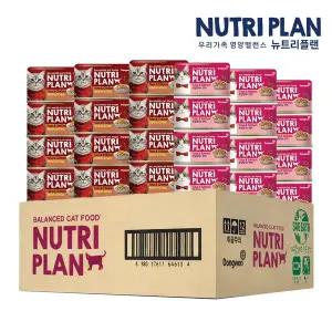 [동원]뉴트리플랜 고양이 습식캔 통조림 간식 2종 콤보 닭가슴살&연어 160g×24개