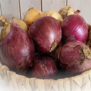 유쎌스토어 무안 자색양파 중대혼합 3KG 단단한양파 국내산단단한햇양파