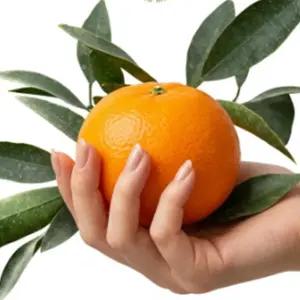 행복식품 제주 수라향 신비향 설국향 랜덤과 2.5kg