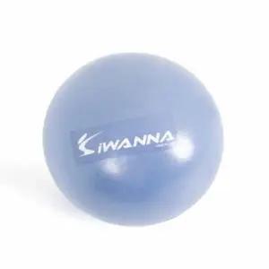 미니 PX48JF71 짐볼 25cm 맛사지공 맛사지볼
