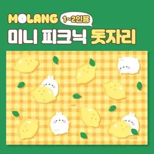 몰랑 미니 피크닉 돗자리 1-2인용캠핑용매트 야외용 여행용 등산