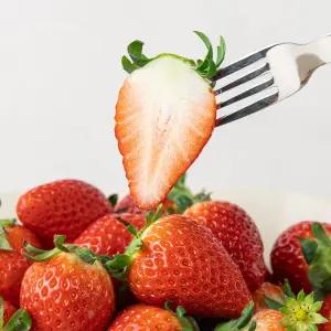 신선 달콤한 금실딸기 맛있는 금실딸기