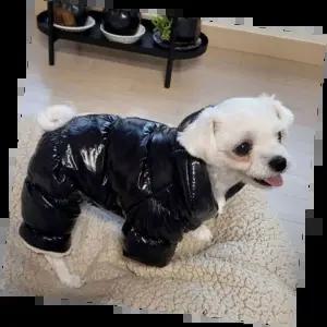 유광롱패딩 스타일리시한 겨울 아우터 따뜻한 보온성 완벽한 미니멀 디자인 남녀공용 패션 아이템