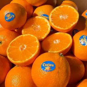 미미필터 미국산 귤 만다린 10kg 내외