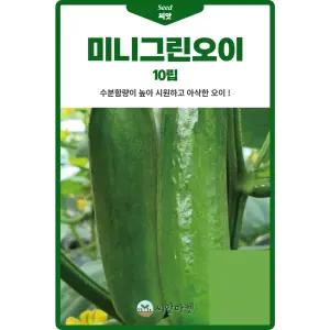 미니그린 오이 씨앗 10립 흰가루병 노균병에 강한 오이씨 종자