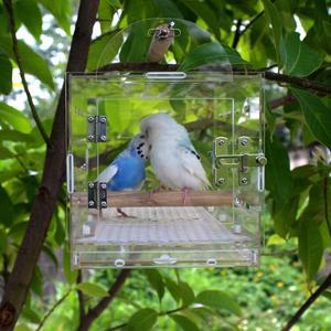 앵무새 투명새장 애완조 미니 미니새장 피더 이동장 화이트 외출 회색 디스펜서 중대형