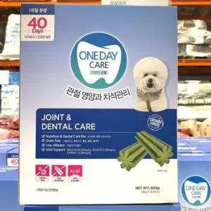 치석케어 원데이케어 애견관절 40개