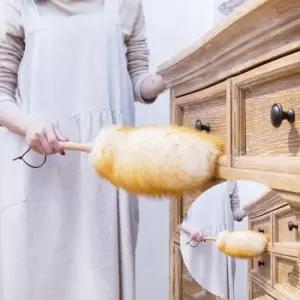 먼지청소기 집 안 방 책상 청소 정전기 먼지 떨이 기 제거 털 개