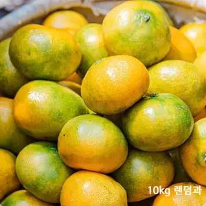 제주감귤10키로 랜덤과 못난이 귤 조생 밀감 큰귤 한라봉 천혜향 제주향