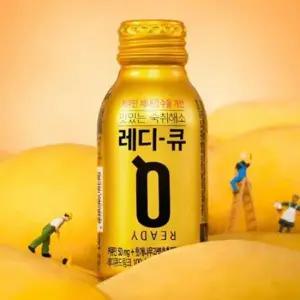 상쾌환 레디큐 100mlx10개입