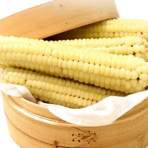 찐 냉동 대학찰옥수수 3입(350g 내외) 3봉/5봉