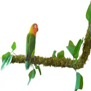 베지터데이 25인치 구부릴 수 있는 새 농어 장난감 이상적인 새장 액세서리