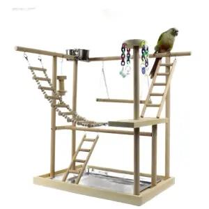 앵무새 놀이터 코뉴어 사랑앵무 카이큐