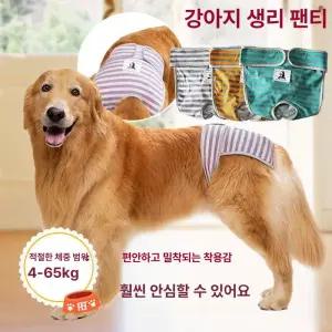 대형견 위생 팬티 강아지똥기저귀 리트리버 매너 애견